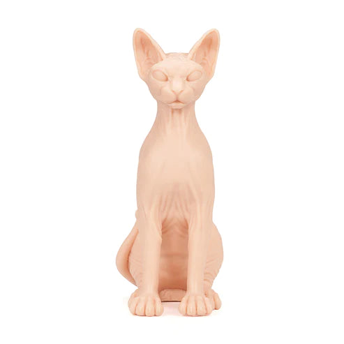Pound Of Flesh Naked Cat-4