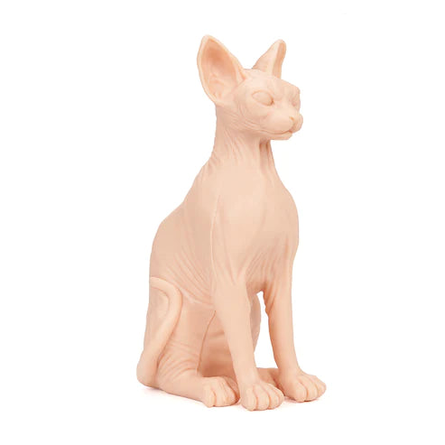 Pound Of Flesh Naked Cat-9