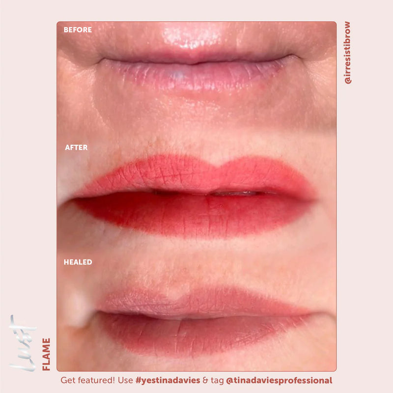 Lust Lip Pigment Collection-4