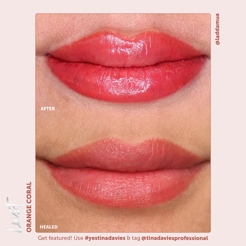 Lust Lip Pigment Collection-5