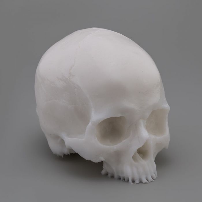 A Pound of Flesh Tattooable Synthetic Yorick Skull – Fausse peaux – SBDistribution – SBDistribution