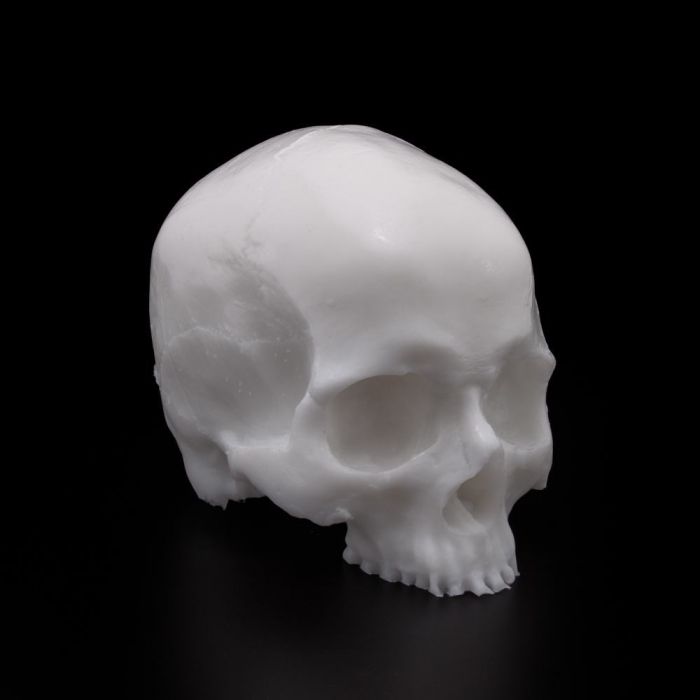A Pound of Flesh Tattooable Synthetic Yorick Skull – Fausse peaux – SBDistribution – SBDistribution