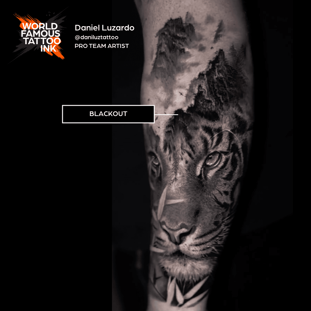 Blackout World Famous – Encres – World Famous Tattoo Ink – SBDistribution