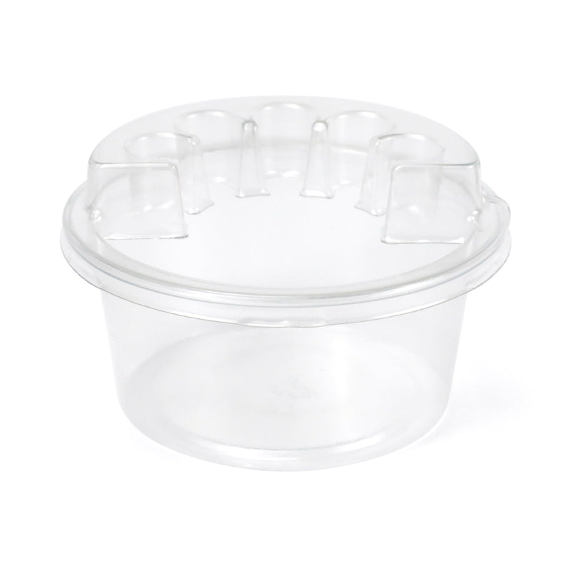 Cartdridges Holder Box Of 20 - SHOTGUN – – Shotgun – SBDistribution