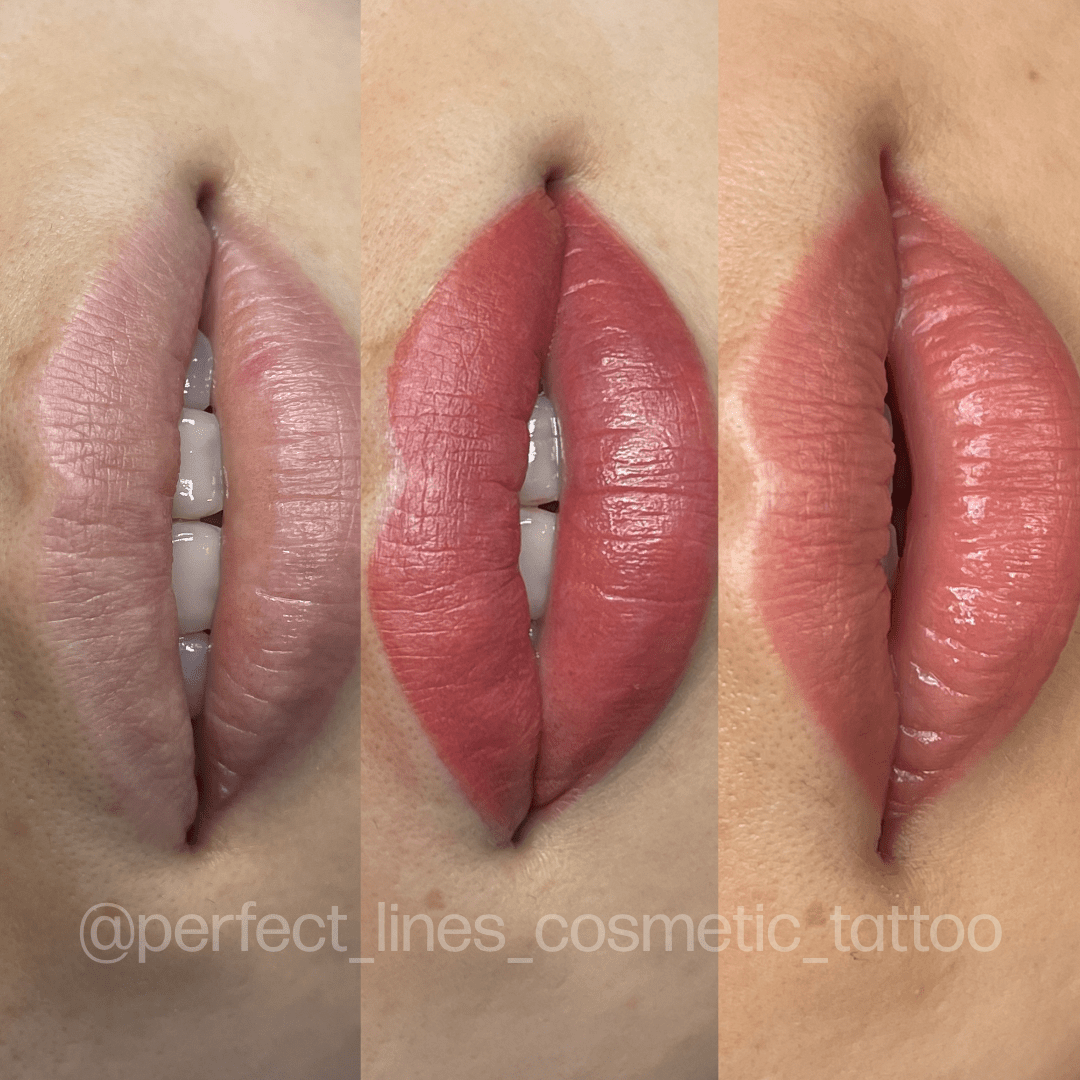 Evenflo Bare - Lip – Pigment de maquillage – Evenflo – SBDistribution