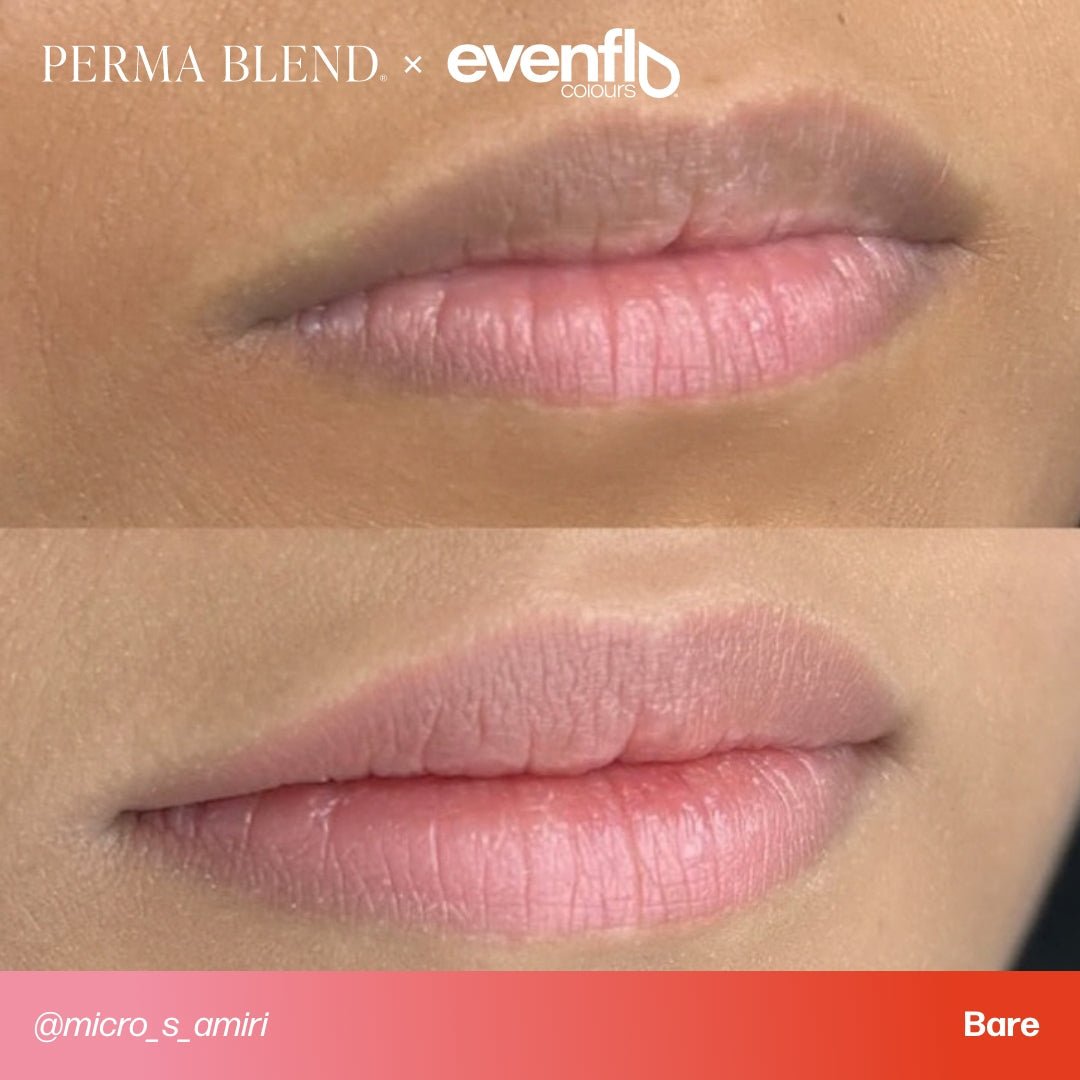 Evenflo Bare - Lip – Pigment de maquillage – Evenflo – SBDistribution