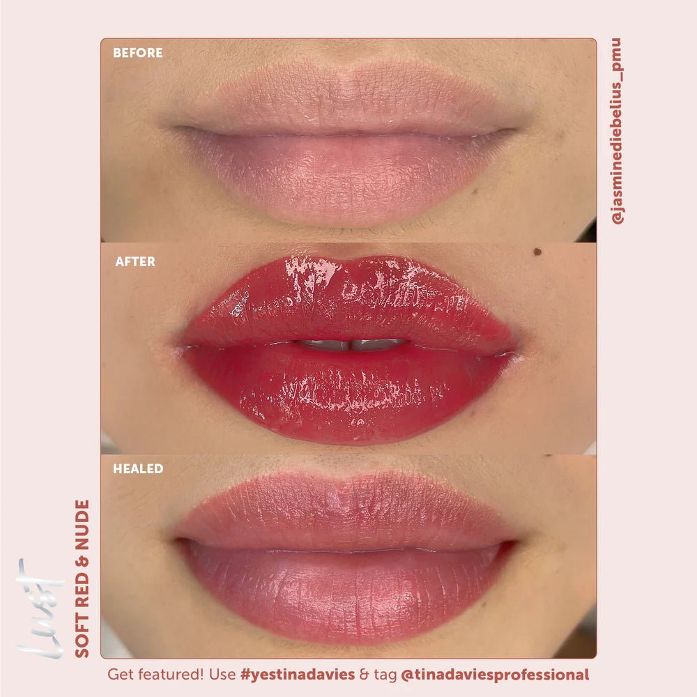 Lust Lip Pigment Collection – Pigment de maquillage – SBDistribution – SBDistribution