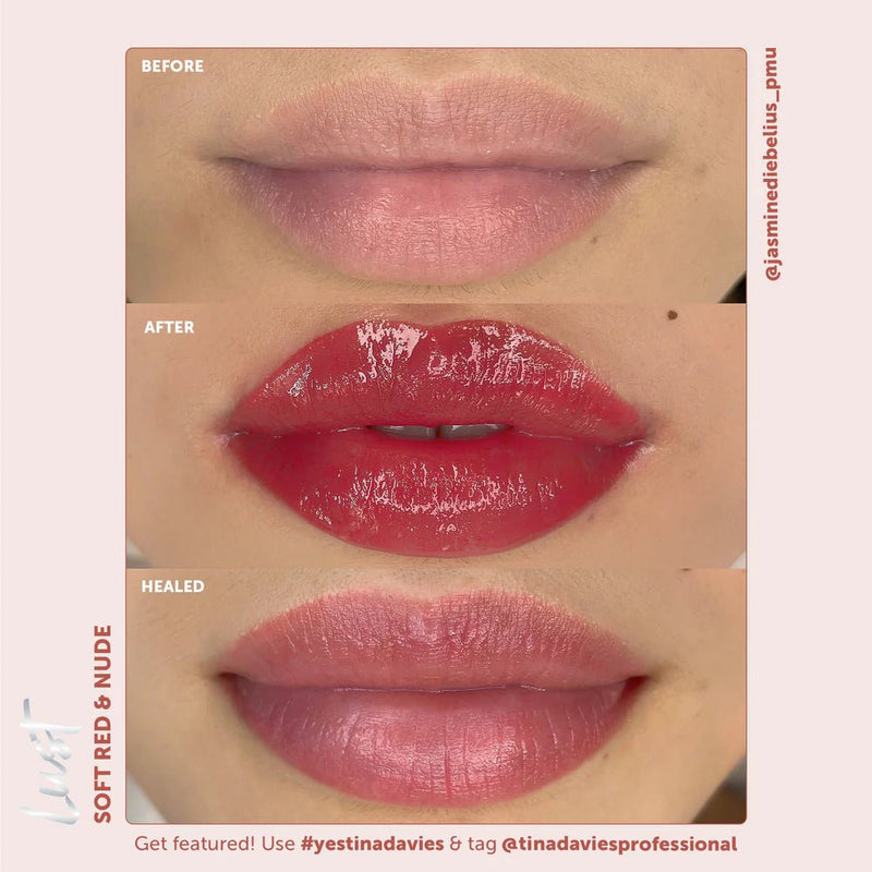 Lust Lip Pigment Collection – Pigment de maquillage – SBDistribution – SBDistribution