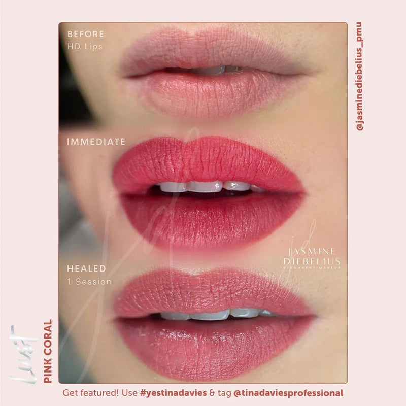 Lust Lip Pigment Collection – Pigment de maquillage – SBDistribution – SBDistribution