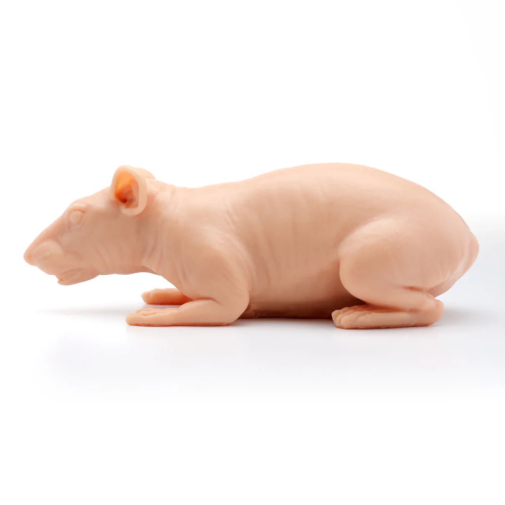 Naked Rat pound a Flesh – Fausse peaux – Pound a flesh – SBDistribution