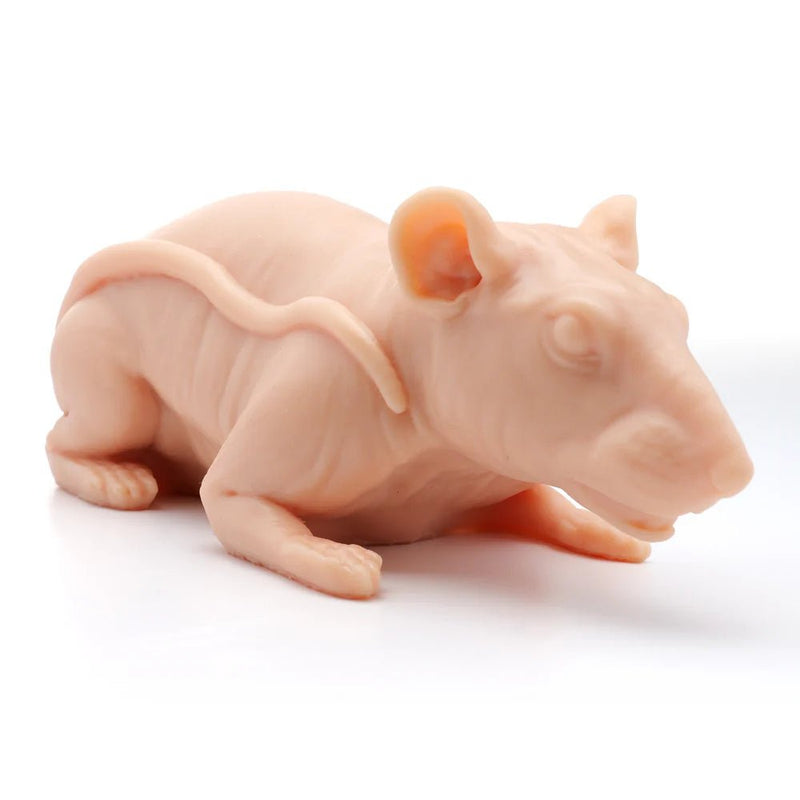 Naked Rat pound a Flesh – Fausse peaux – Pound a flesh – SBDistribution