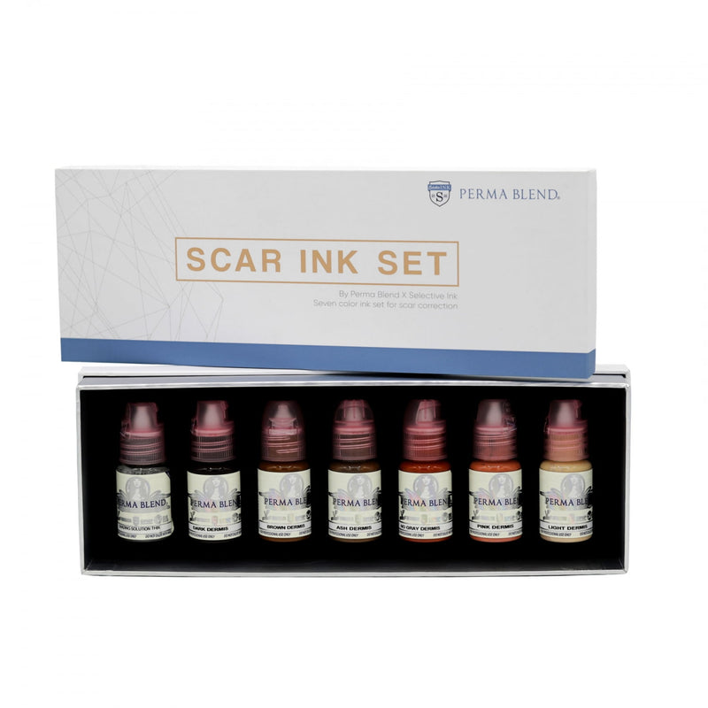 Ensemble de pigment Mandy Sauler Scar Ink Set de Perma Blend