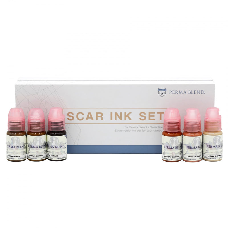Ensemble de pigment Mandy Sauler Scar Ink Set de Perma Blend