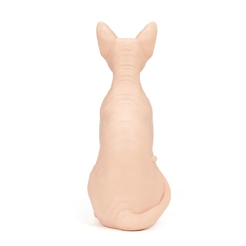 Pound Of Flesh Naked Cat – – SBDistribution – SBDistribution