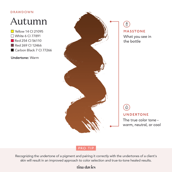 Sunset Brow Pigments – Encres – Tina Davies – SBDistribution