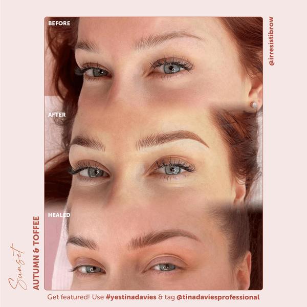 Sunset Brow Pigments – Encres – Tina Davies – SBDistribution
