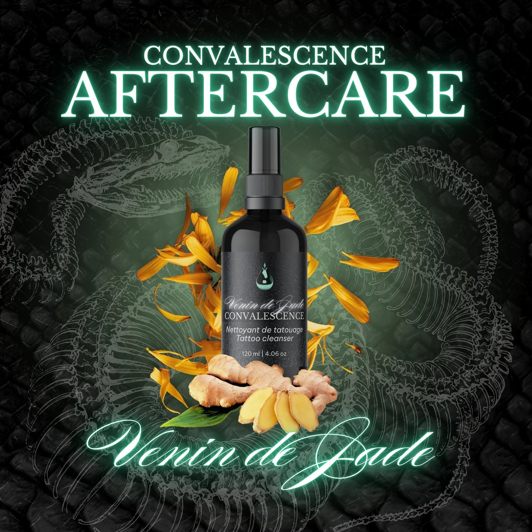 Venin de Jade 120 ml Nettoyant de tatouage Convalescence – – Convalescence – SBDistribution