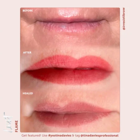Lust Lip Pigment Collection - Image 4