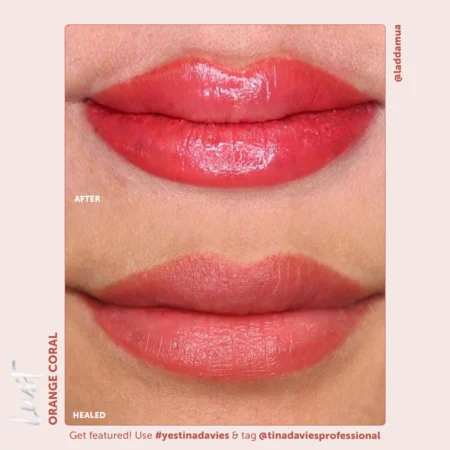 Lust Lip Pigment Collection - Image 5